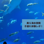 Thumbnail of post image 061